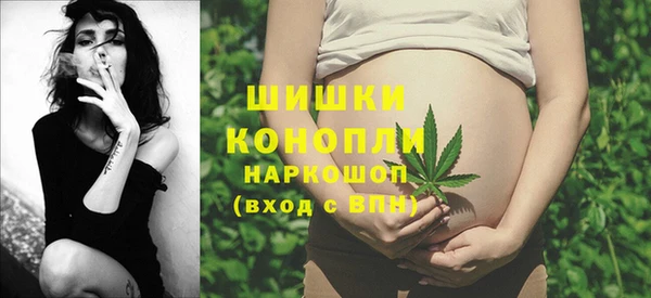 эйфоретик Баксан