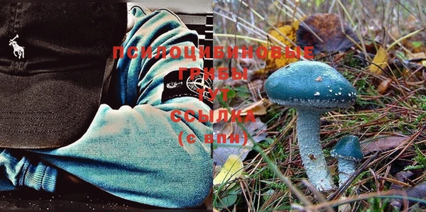 эйфоретик Баксан