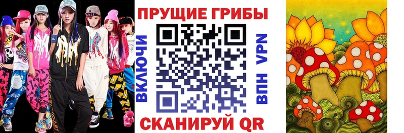 мориарти официальный сайт  Мыски  Галлюциногенные грибы мицелий  что такое  
